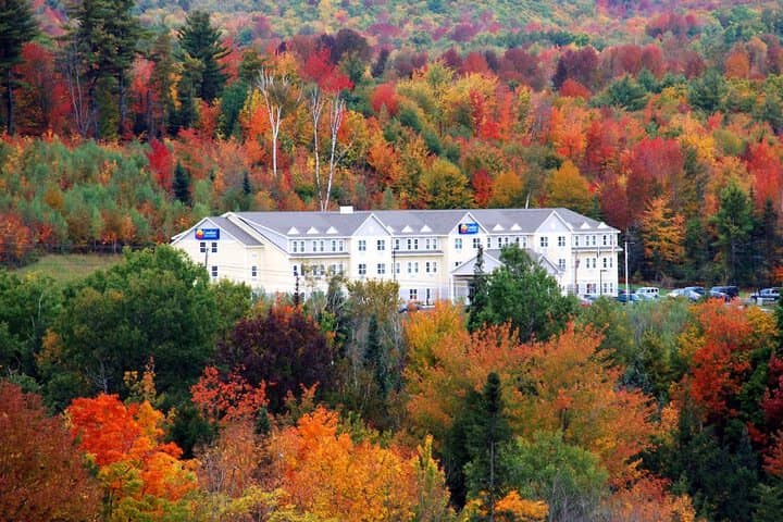 Hotel 40 of 53